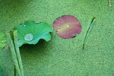 Nexon列举《Dark and Darker》“抄袭”证据：抄自己算不算抄？